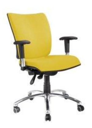 Detalhes do produto CADEIRA GOBLIN EXECUTIVA